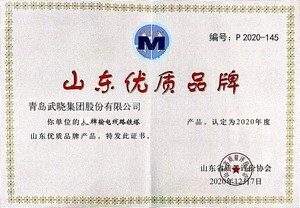 2020山東優(yōu)質品牌-輸電線路鐵塔